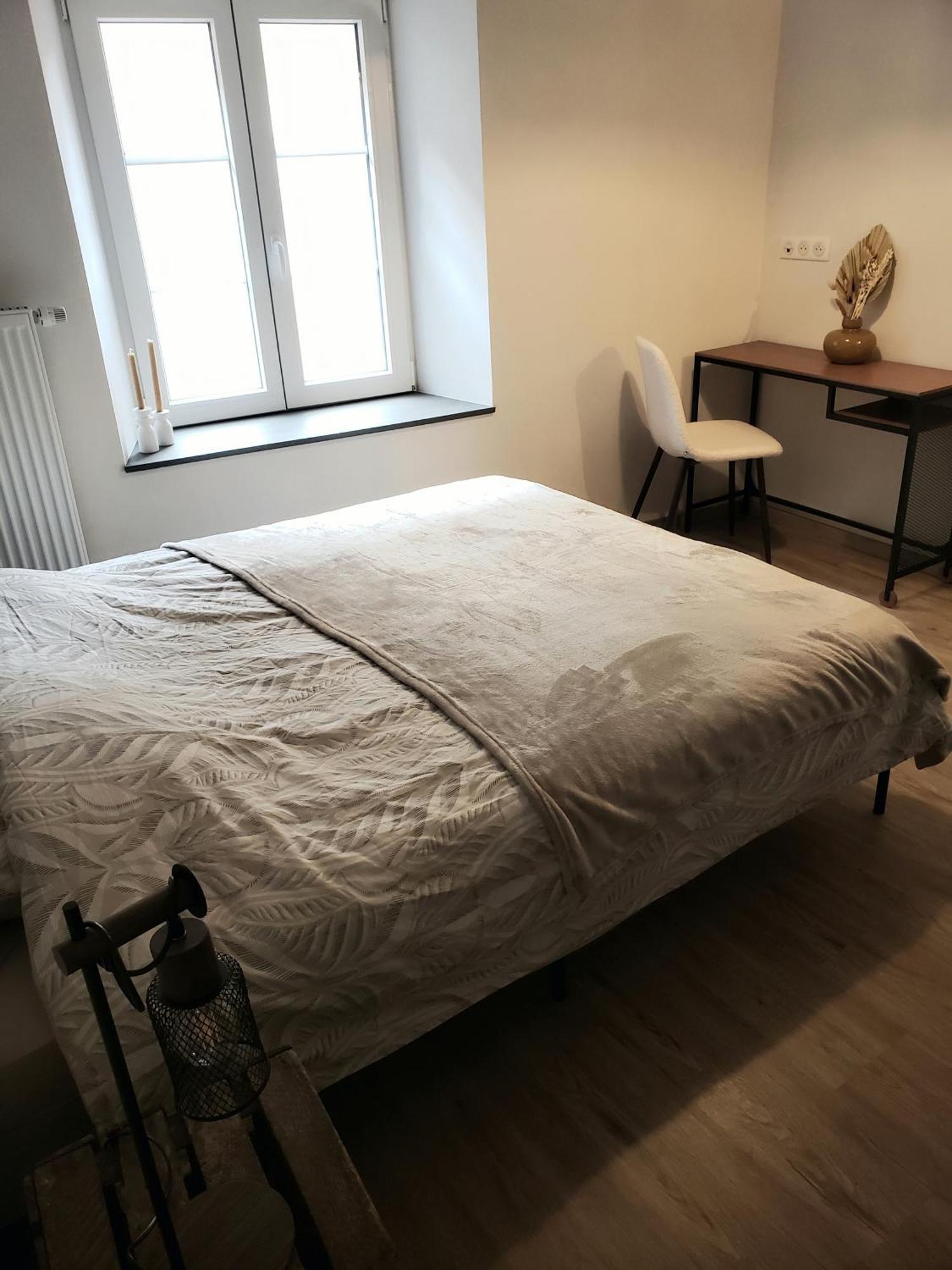 Emile&Jeanne - Centre - 2 Chambres - Wifi, Netflix Wissembourg Εξωτερικό φωτογραφία